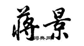 胡问遂蒋景行书个性签名怎么写