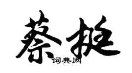 胡问遂蔡挺行书个性签名怎么写