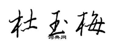 王正良杜玉梅行书个性签名怎么写