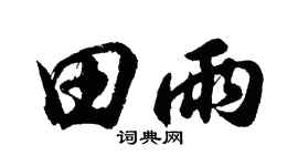 胡问遂田雨行书个性签名怎么写