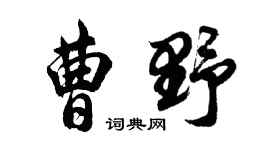 胡问遂曹野行书个性签名怎么写