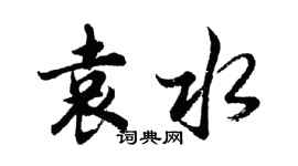胡问遂袁水行书个性签名怎么写