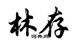 胡问遂林存行书个性签名怎么写