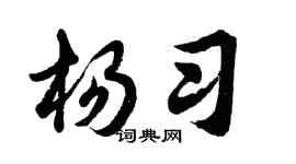 胡问遂杨习行书个性签名怎么写