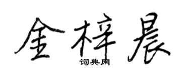 王正良金梓晨行书个性签名怎么写