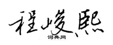 王正良程峻熙行书个性签名怎么写
