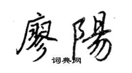 王正良廖阳行书个性签名怎么写