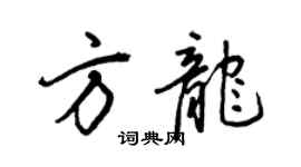 王正良方龙行书个性签名怎么写