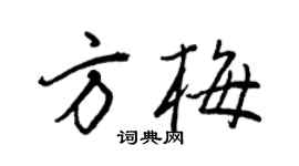 王正良方梅行书个性签名怎么写