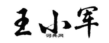 胡问遂王小军行书个性签名怎么写