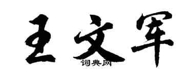 胡问遂王文军行书个性签名怎么写