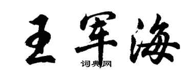 胡问遂王军海行书个性签名怎么写