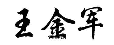 胡问遂王金军行书个性签名怎么写