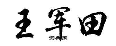 胡问遂王军田行书个性签名怎么写