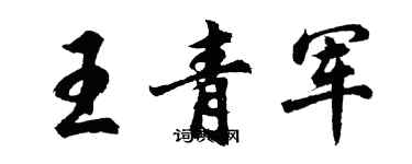 胡问遂王青军行书个性签名怎么写