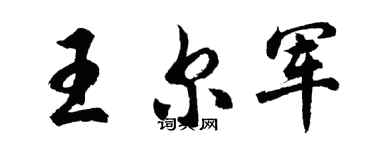 胡问遂王尔军行书个性签名怎么写