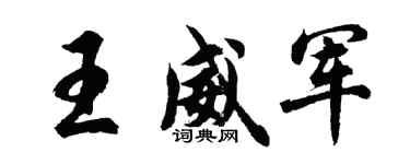 胡问遂王威军行书个性签名怎么写