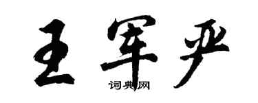 胡问遂王军严行书个性签名怎么写