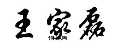 胡问遂王家磊行书个性签名怎么写
