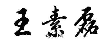 胡问遂王素磊行书个性签名怎么写