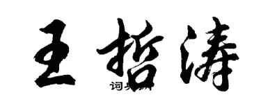 胡问遂王哲涛行书个性签名怎么写