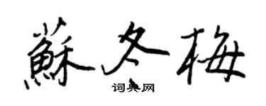 王正良苏冬梅行书个性签名怎么写