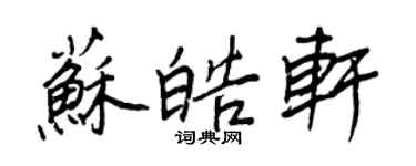 王正良苏皓轩行书个性签名怎么写
