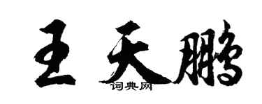 胡问遂王天鹏行书个性签名怎么写