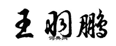 胡问遂王羽鹏行书个性签名怎么写