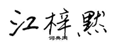王正良江梓默行书个性签名怎么写