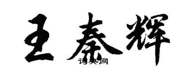 胡问遂王秦辉行书个性签名怎么写