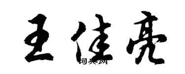 胡问遂王佳亮行书个性签名怎么写