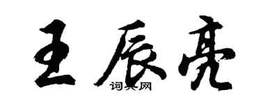 胡问遂王辰亮行书个性签名怎么写