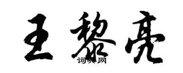 胡问遂王黎亮行书个性签名怎么写