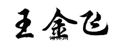 胡问遂王金飞行书个性签名怎么写