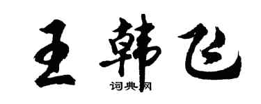胡问遂王韩飞行书个性签名怎么写
