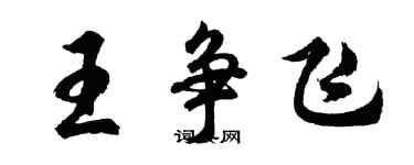 胡问遂王争飞行书个性签名怎么写