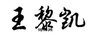 胡问遂王黎凯行书个性签名怎么写