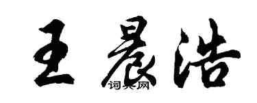 胡问遂王晨浩行书个性签名怎么写