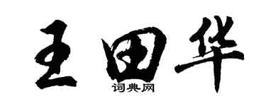胡问遂王田华行书个性签名怎么写
