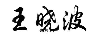 胡问遂王晓波行书个性签名怎么写