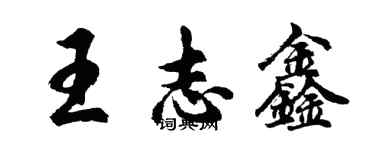 胡问遂王志鑫行书个性签名怎么写