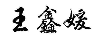胡问遂王鑫媛行书个性签名怎么写