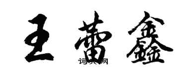 胡问遂王蕾鑫行书个性签名怎么写