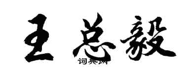 胡问遂王总毅行书个性签名怎么写