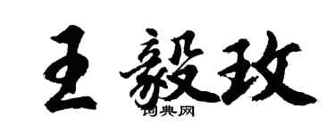胡问遂王毅玫行书个性签名怎么写