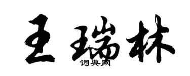 胡问遂王瑞林行书个性签名怎么写