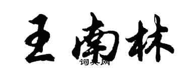 胡问遂王南林行书个性签名怎么写