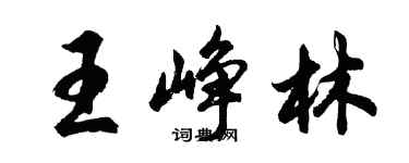 胡问遂王峥林行书个性签名怎么写