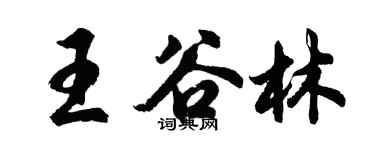 胡问遂王谷林行书个性签名怎么写